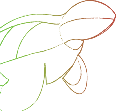 Tettocolour Turtle Image Icon